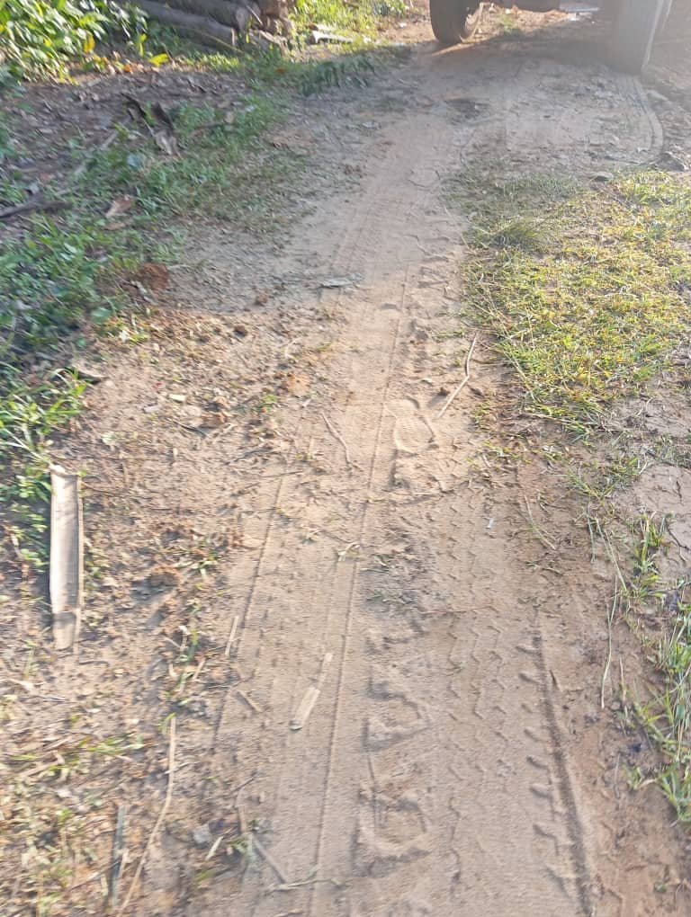 IMG-20250408-WA0053