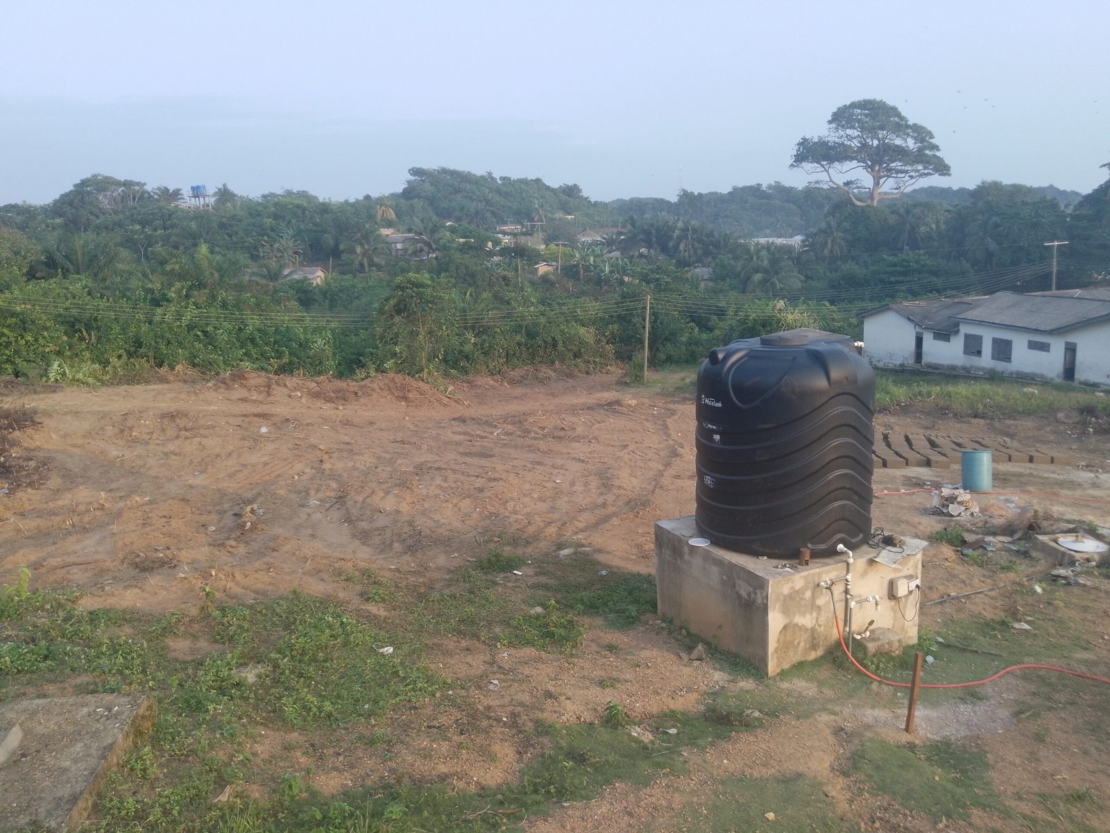 IMG_20240818_173256_055