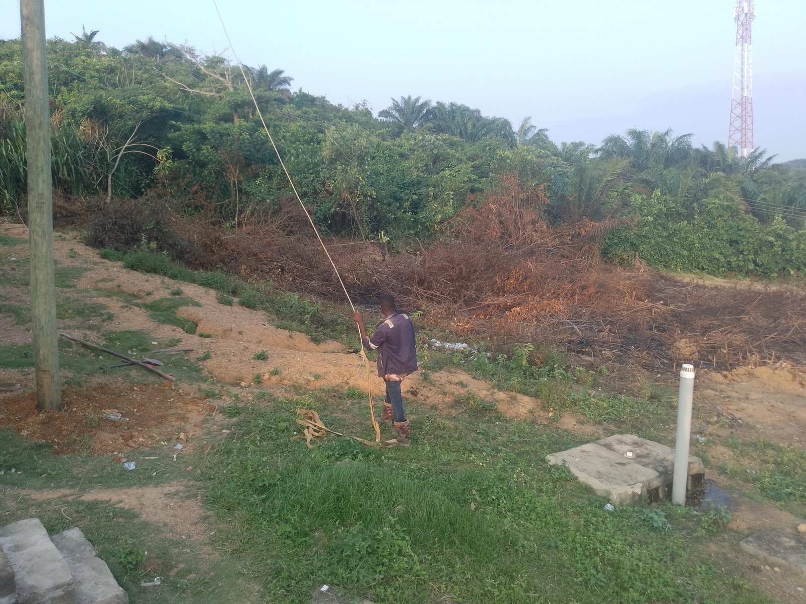 IMG_20240818_173305_247