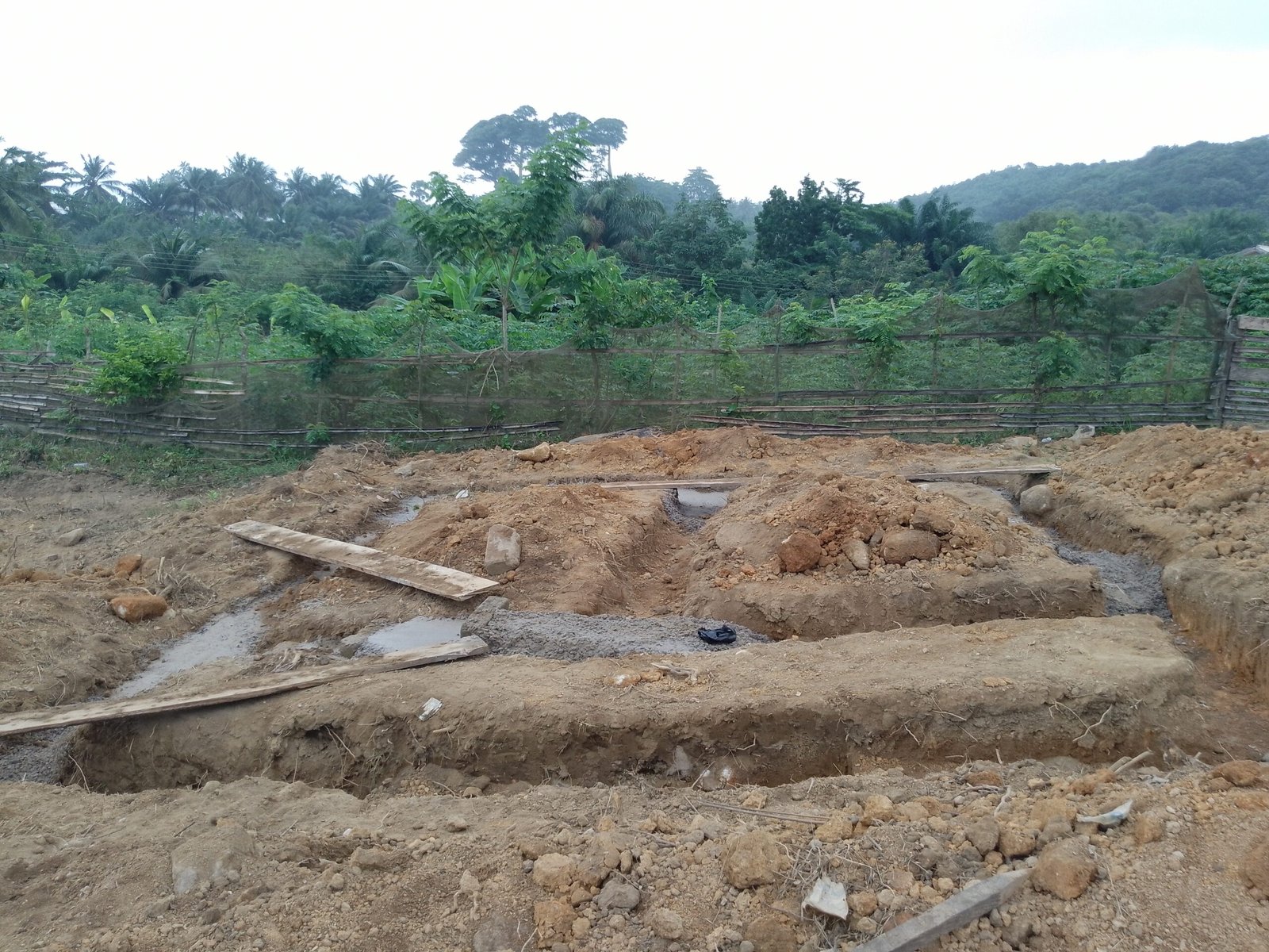 IMG_20240823_092927_737