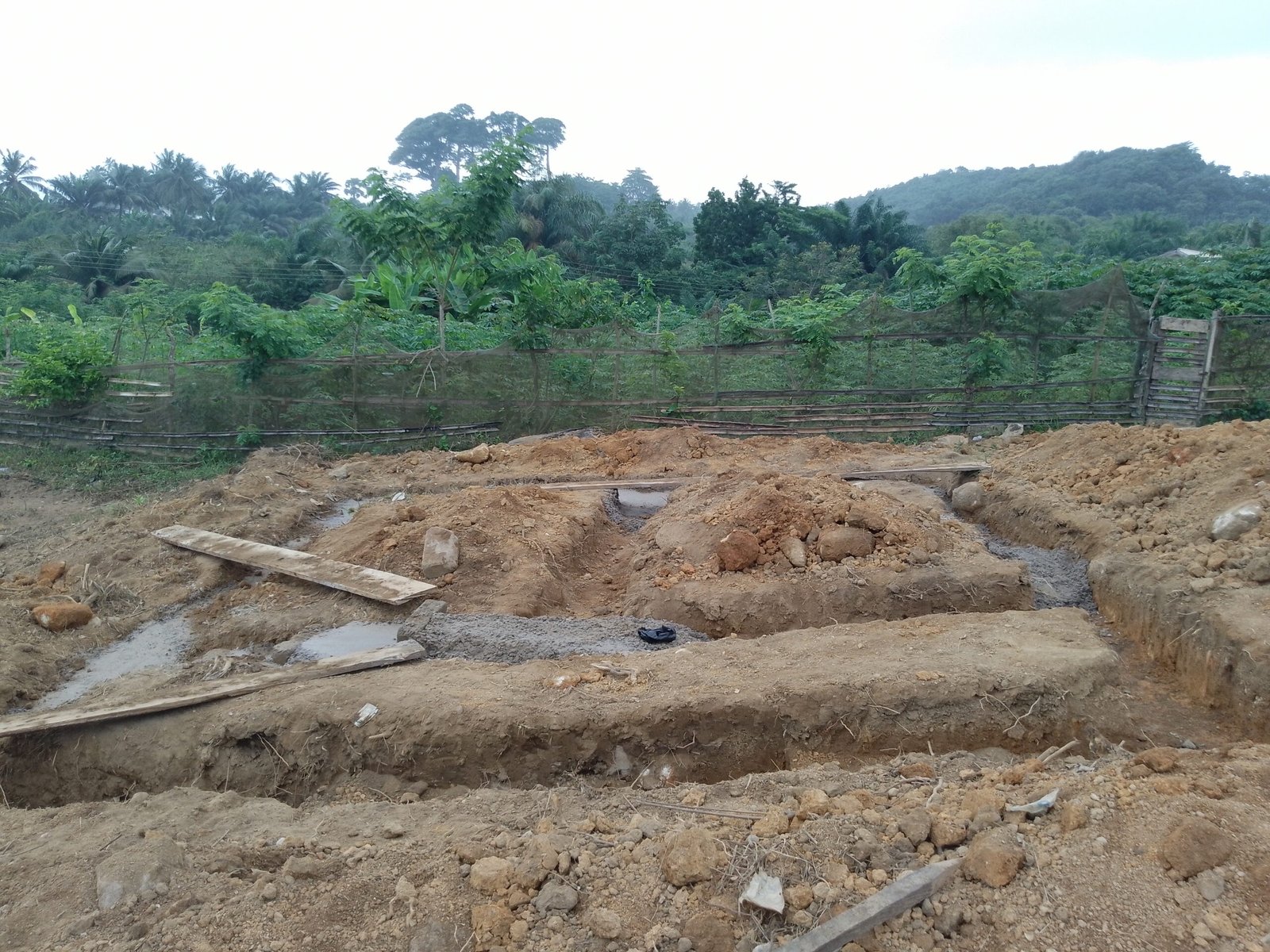 IMG_20240823_092929_524