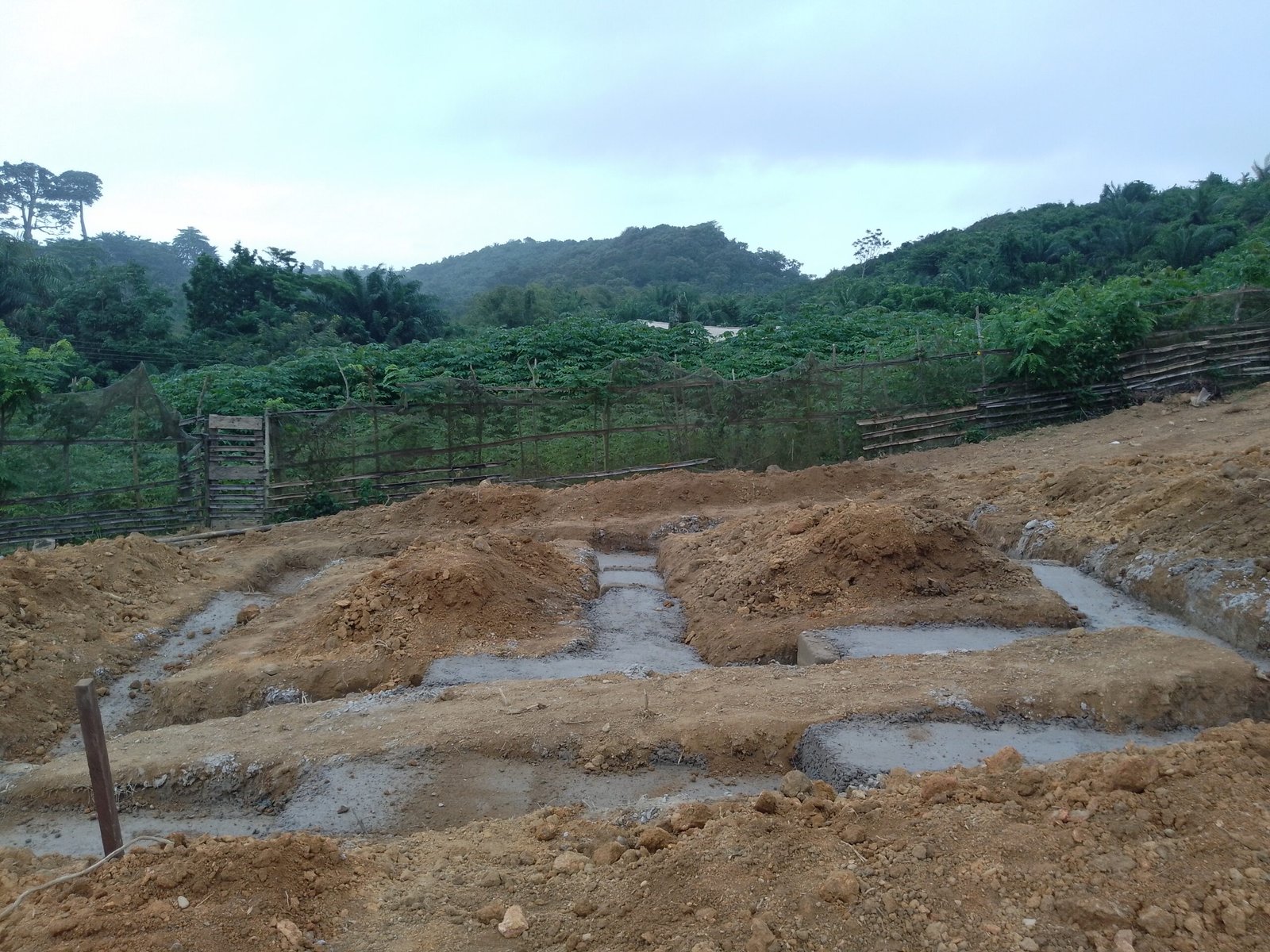 IMG_20240823_092942_462