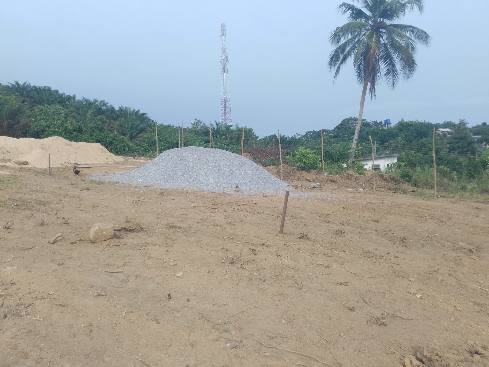 IMG_20240825_160810_577