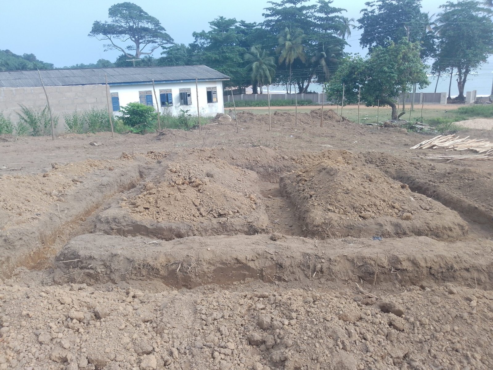 IMG_20240825_160812_644