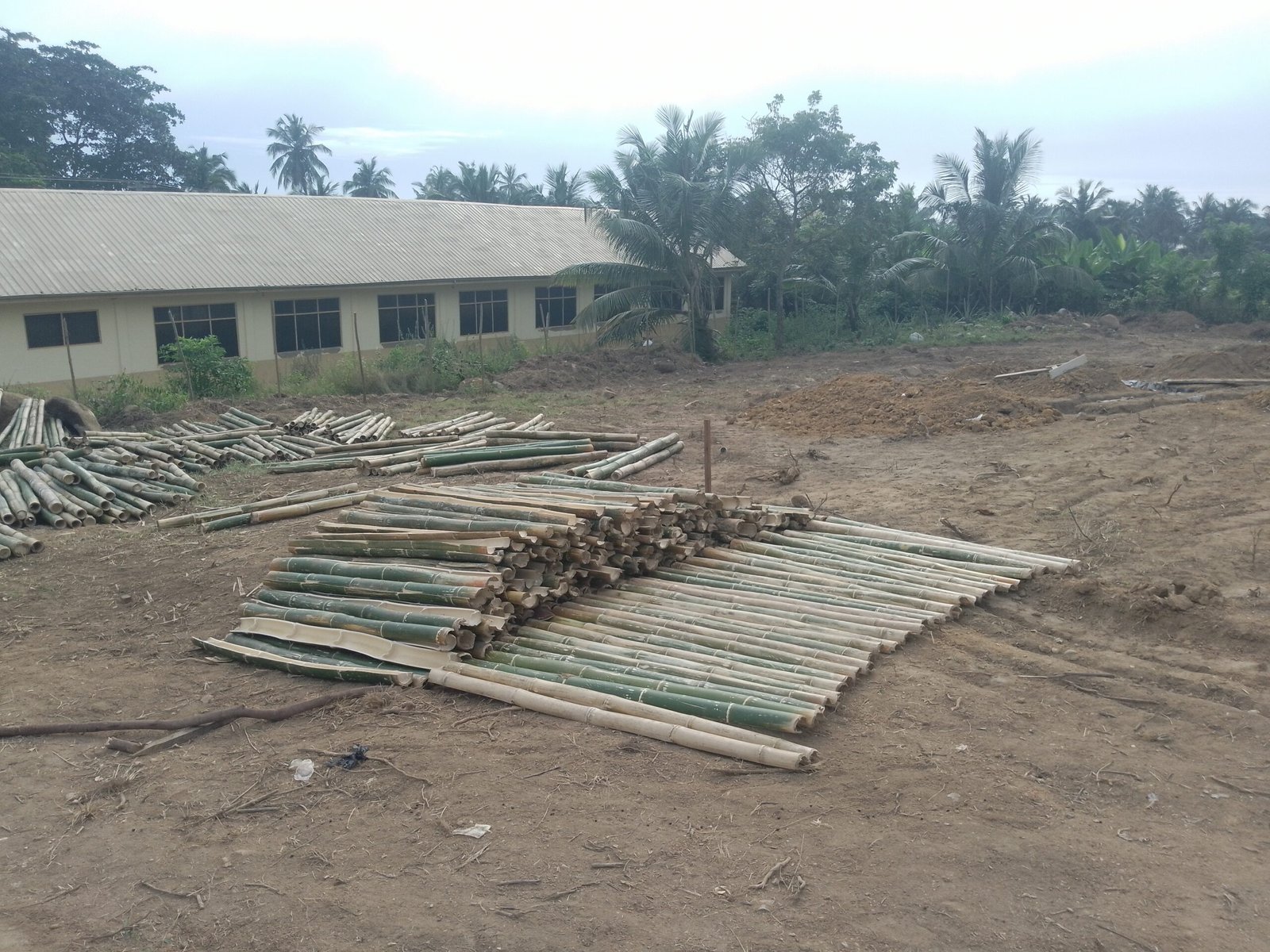 IMG_20240825_160824_339