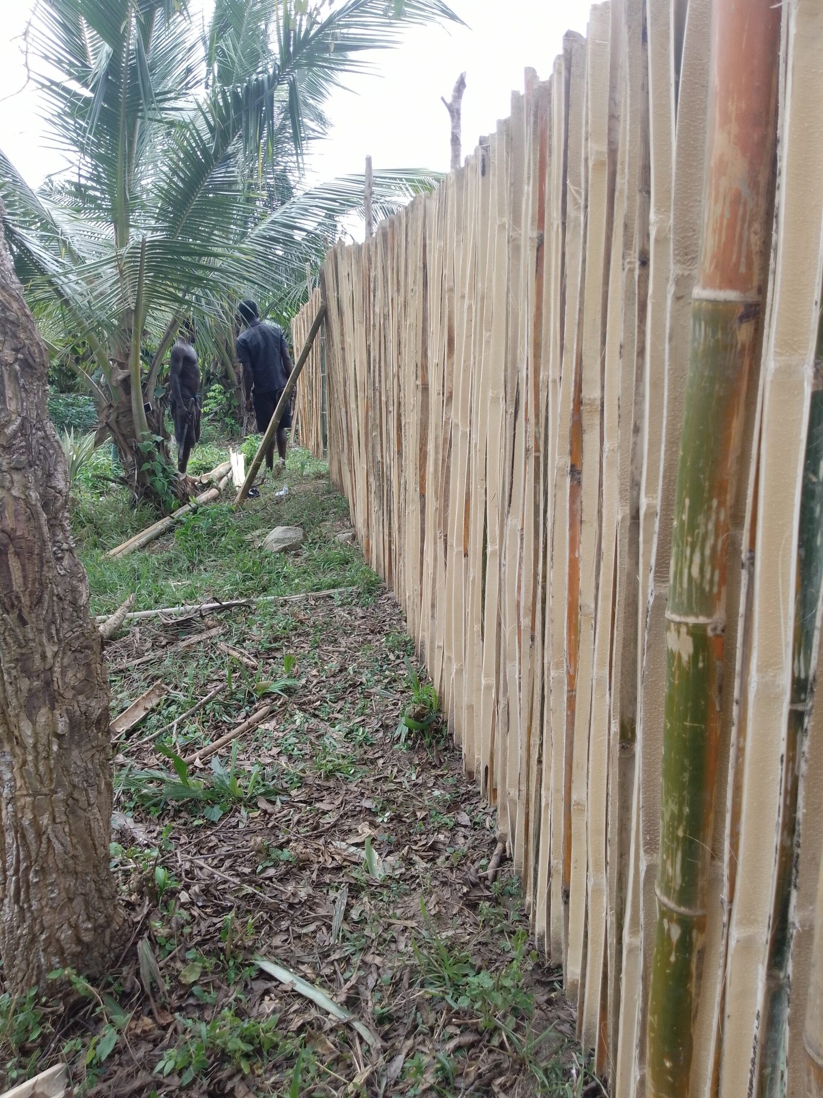 IMG_20240831_134602_269