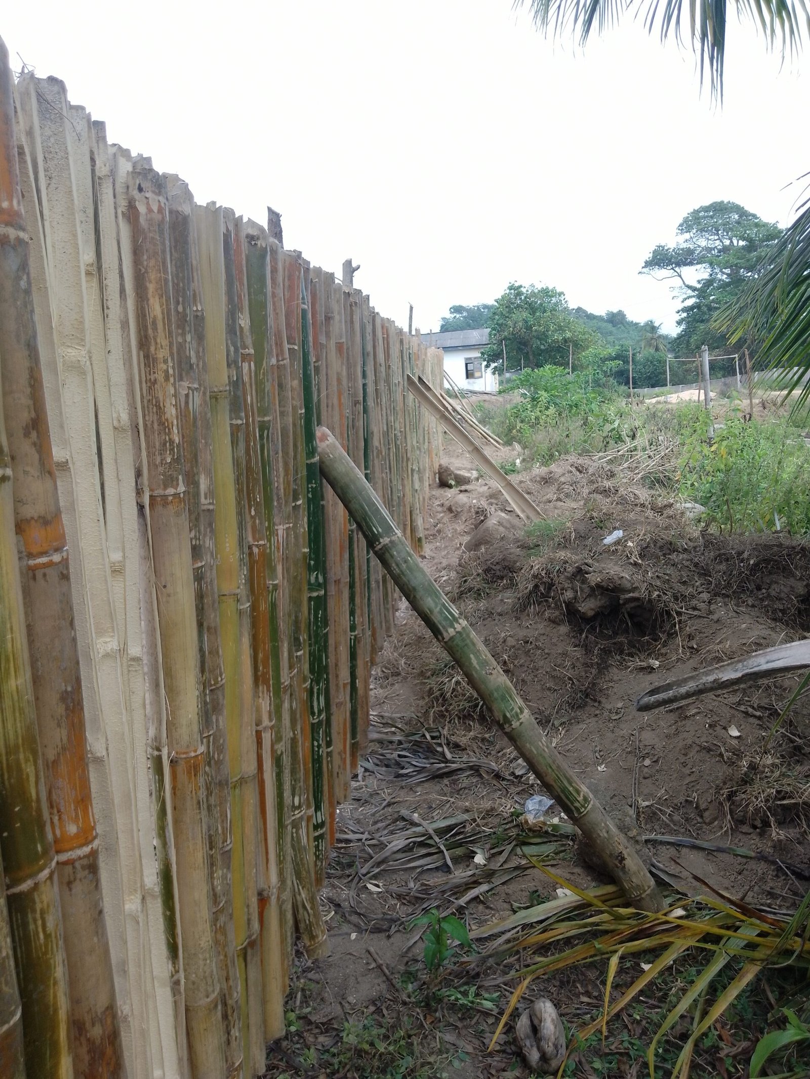 IMG_20240831_134613_400