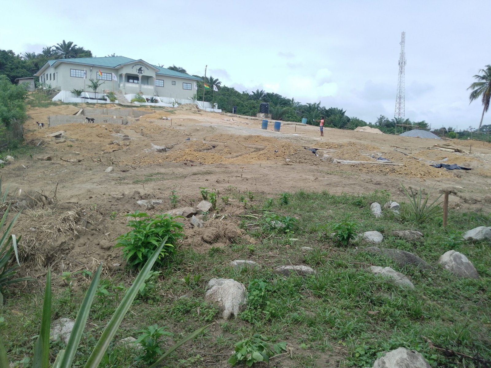 IMG_20240831_134913_691