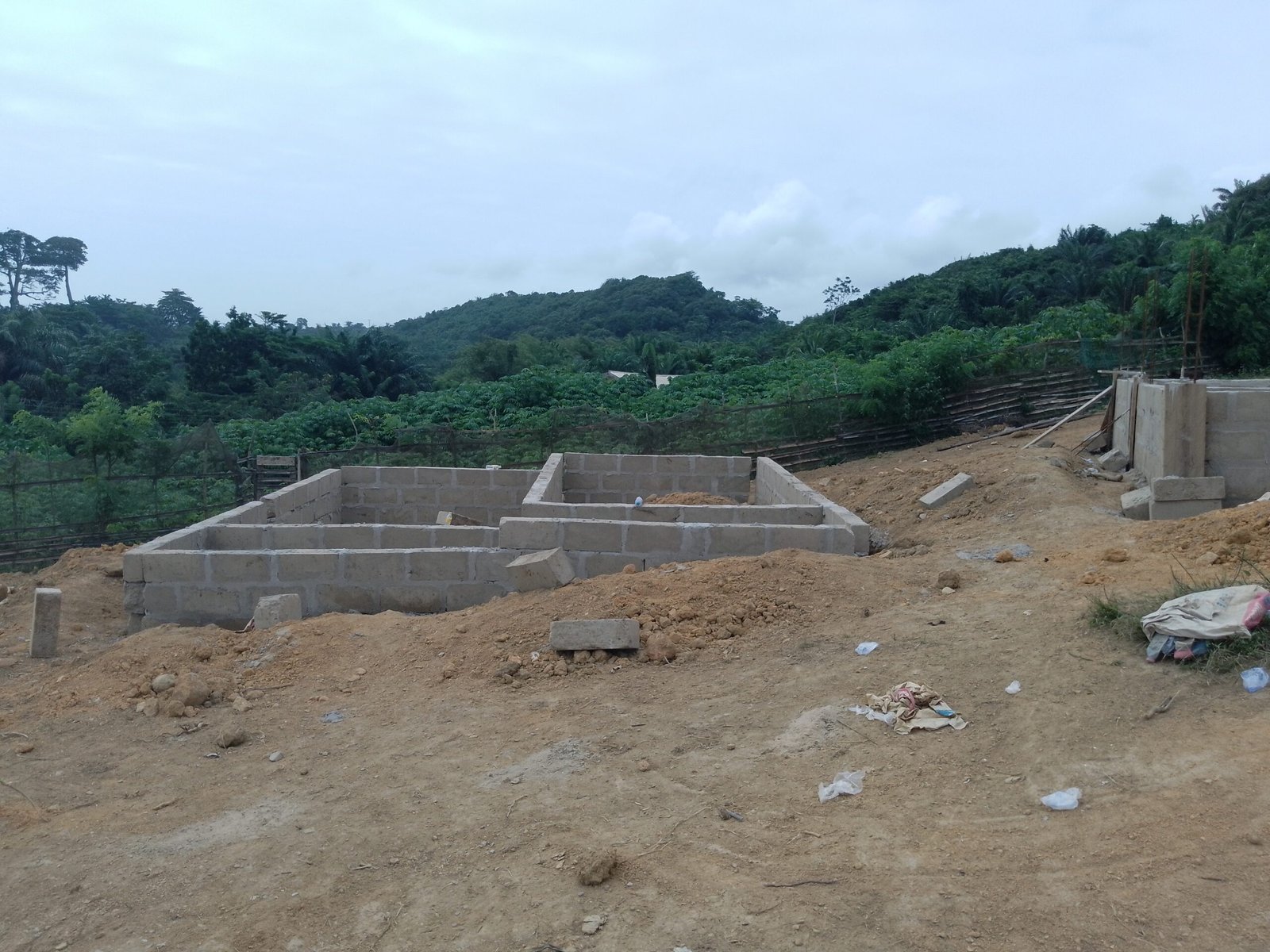 IMG_20240831_135230_615