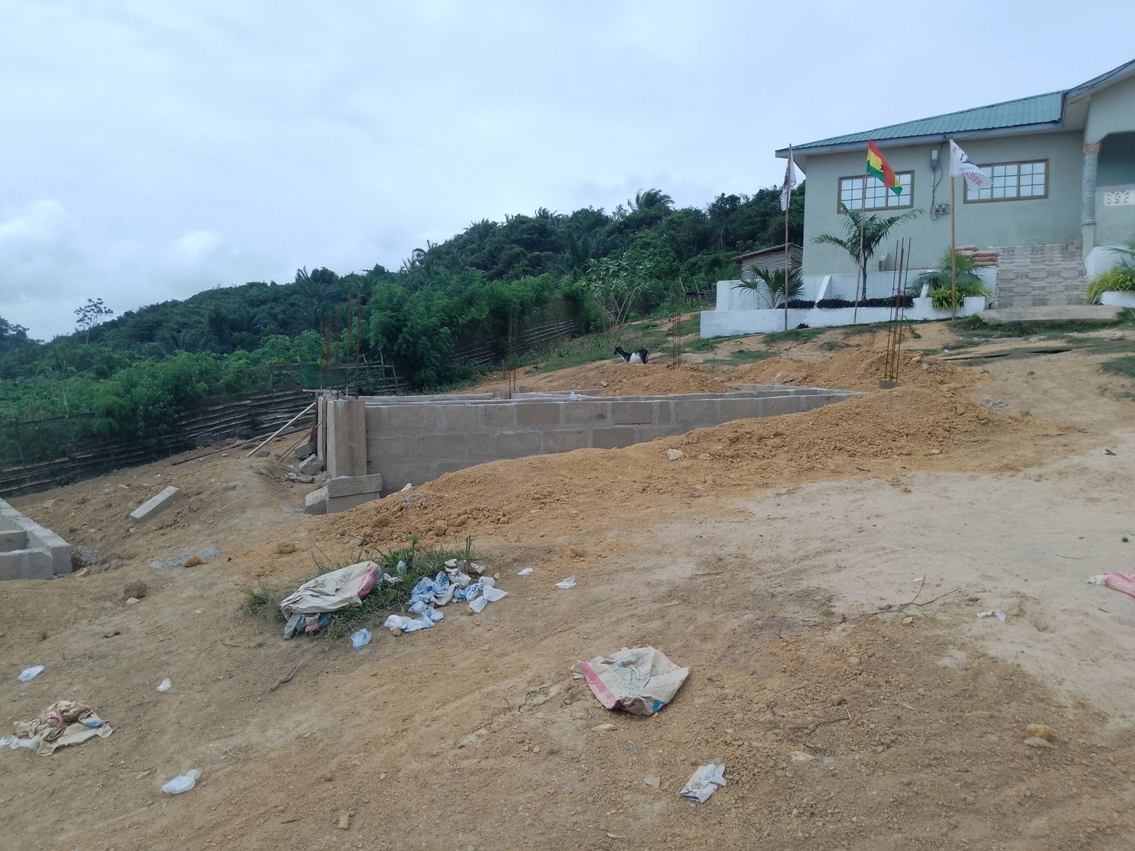 IMG_20240831_135233_399