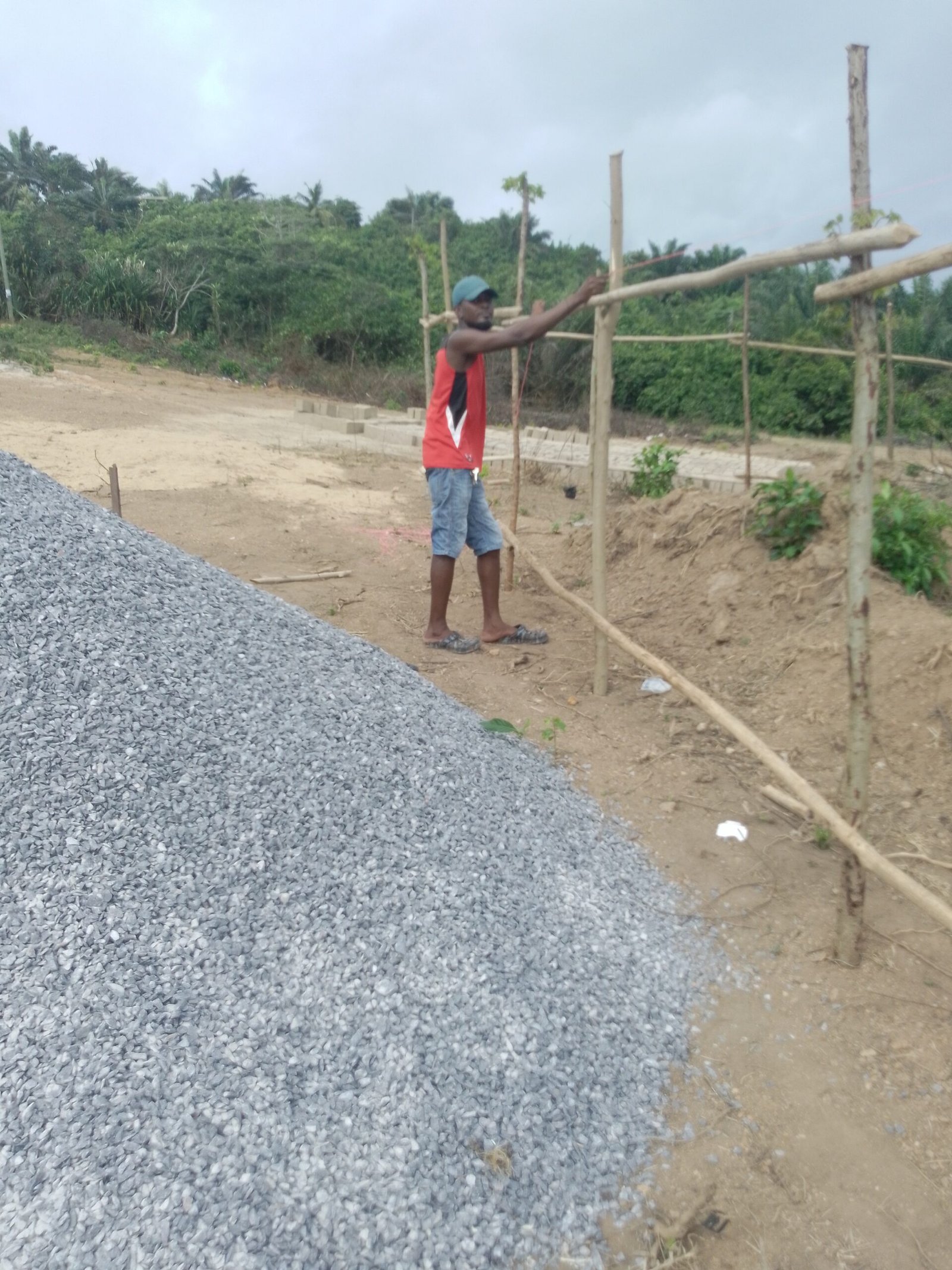 IMG_20241002_152838_215