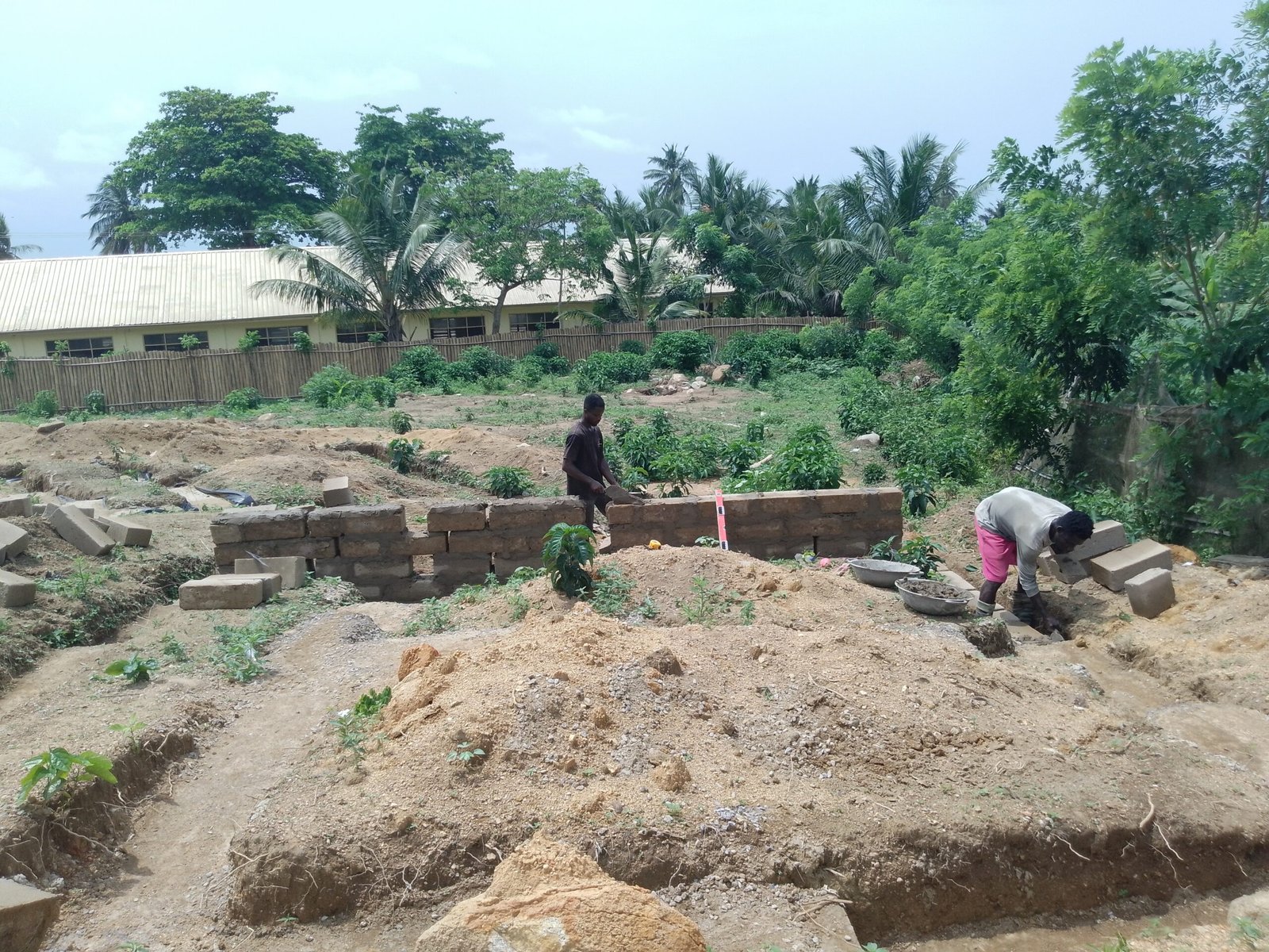 IMG_20241109_113607_926