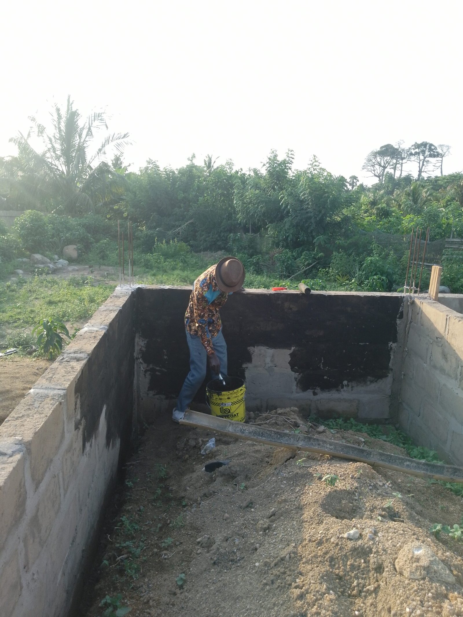 IMG_20241119_165522_177