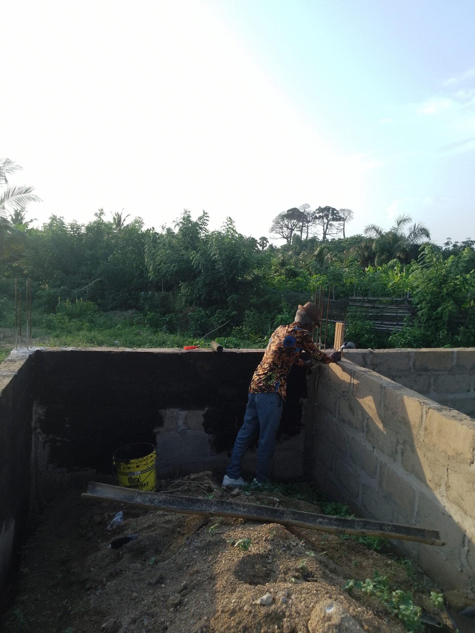 IMG_20241119_165528_671