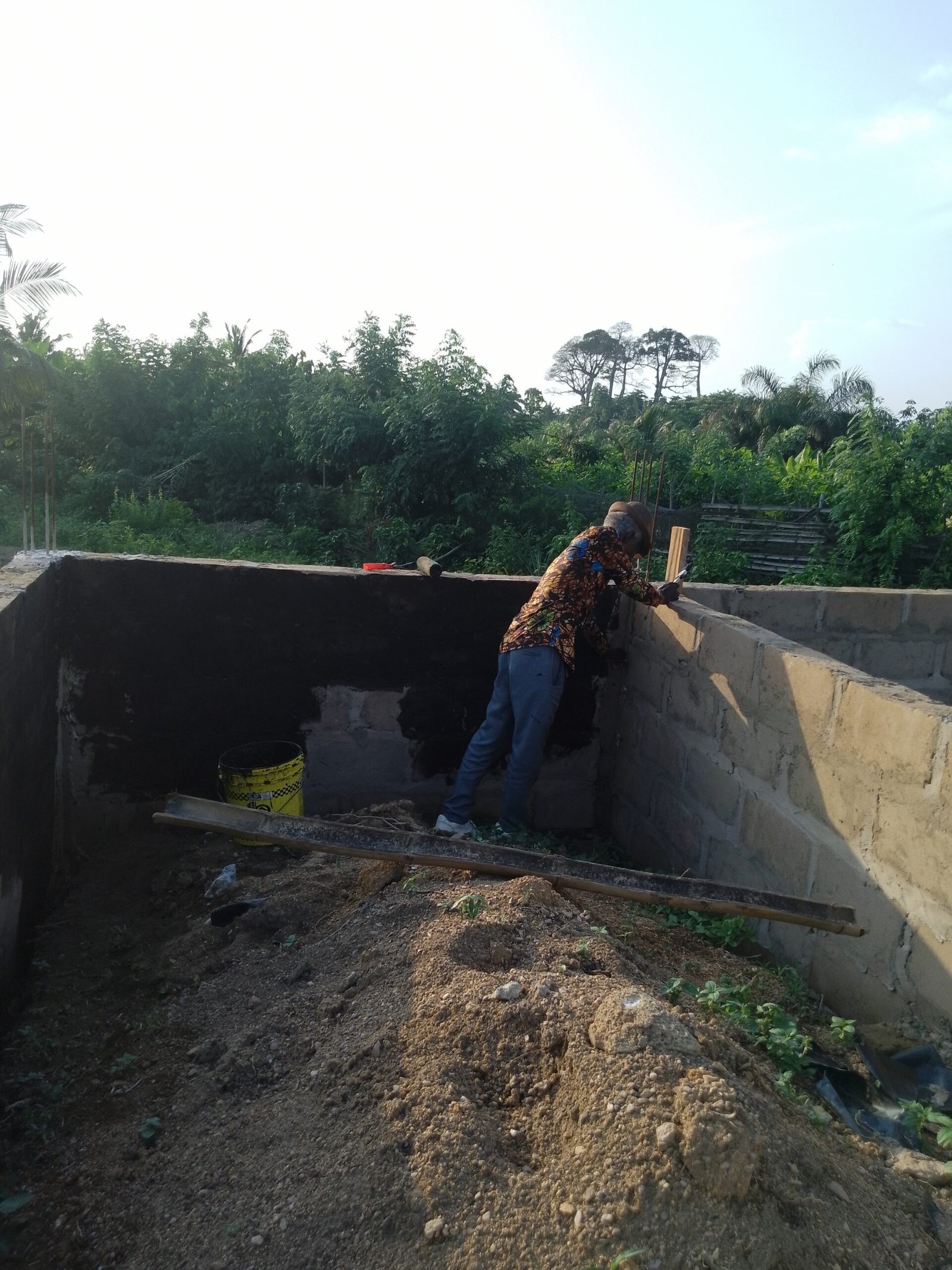 IMG_20241119_165533_077