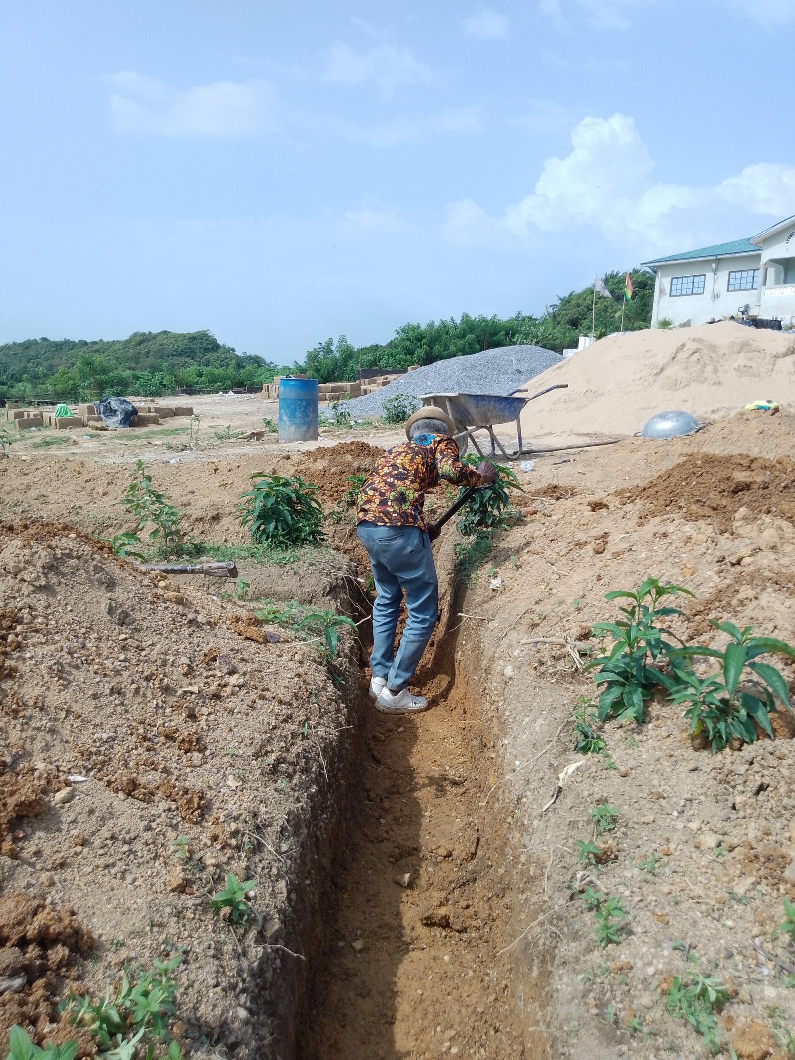 IMG_20241120_135226_343