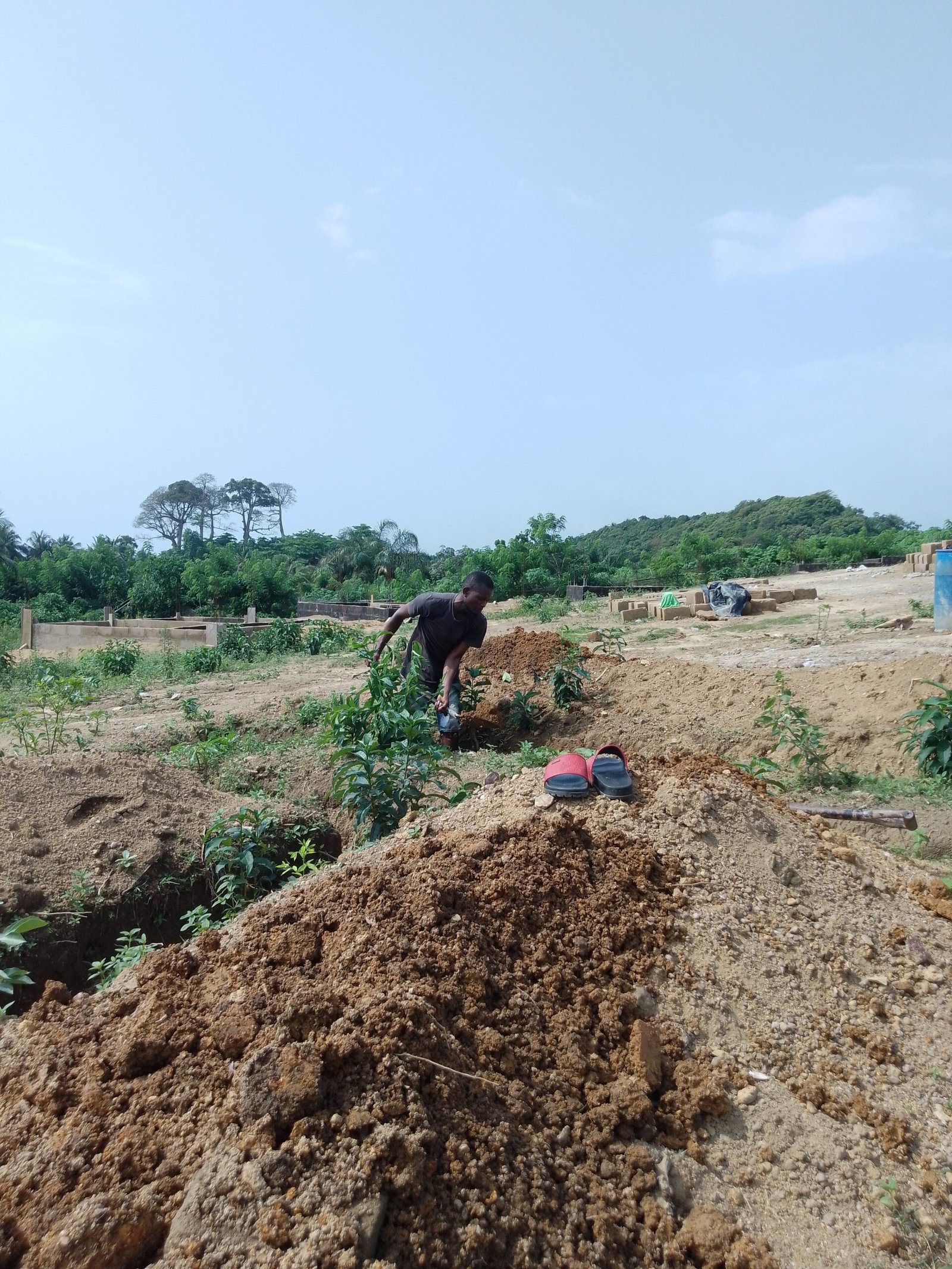 IMG_20241120_135230_452