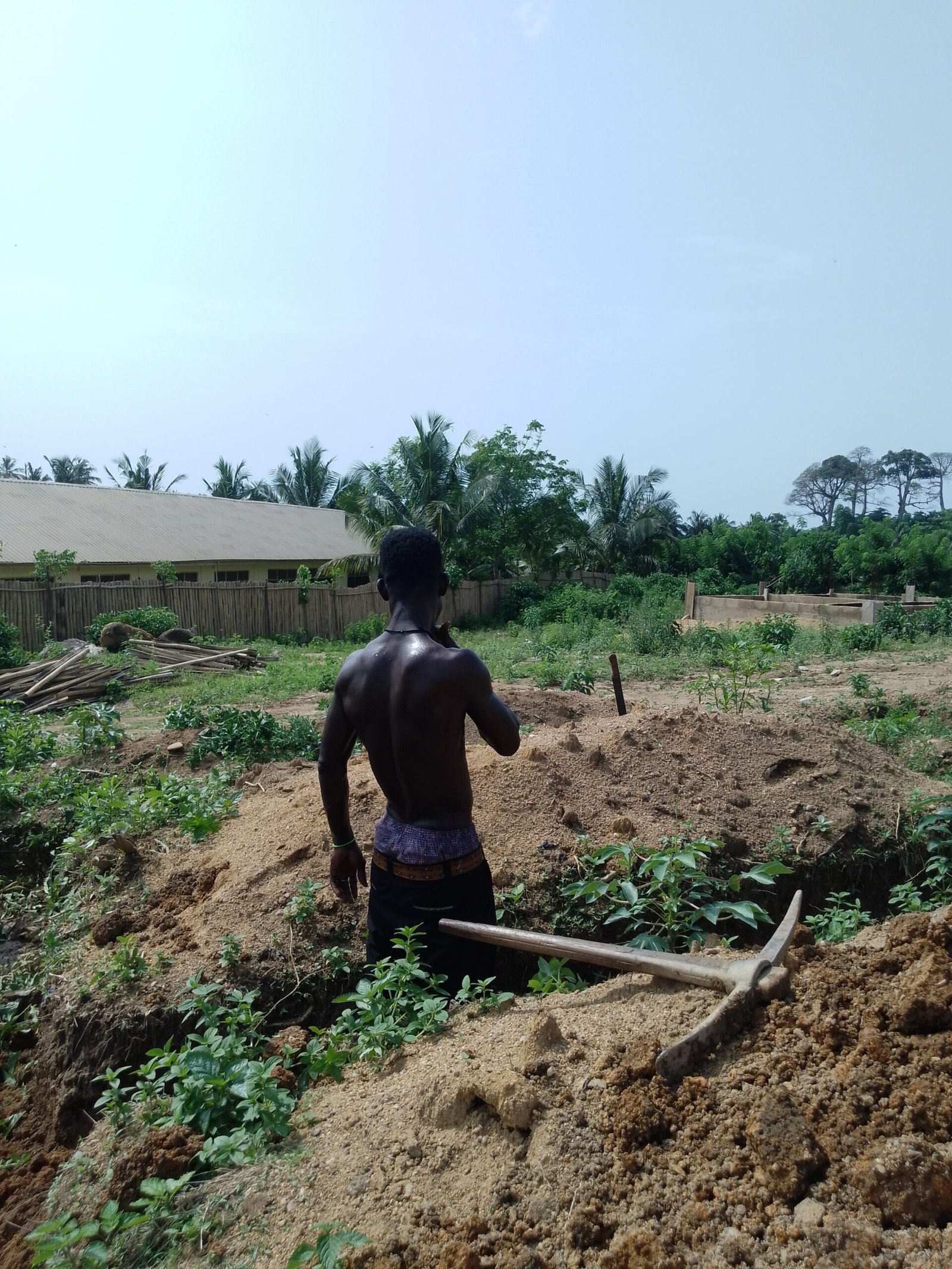 IMG_20241120_135234_283