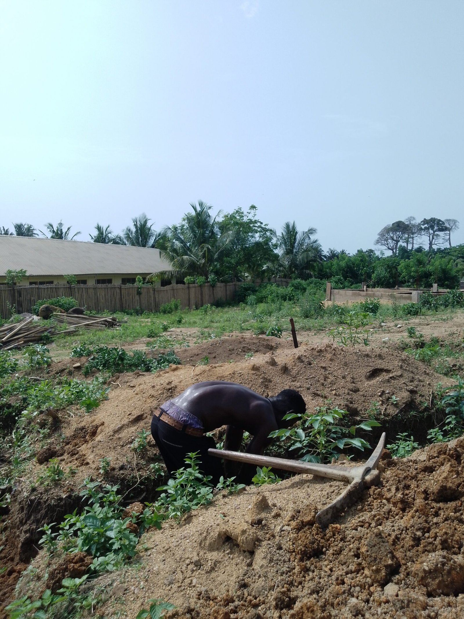 IMG_20241120_135237_601