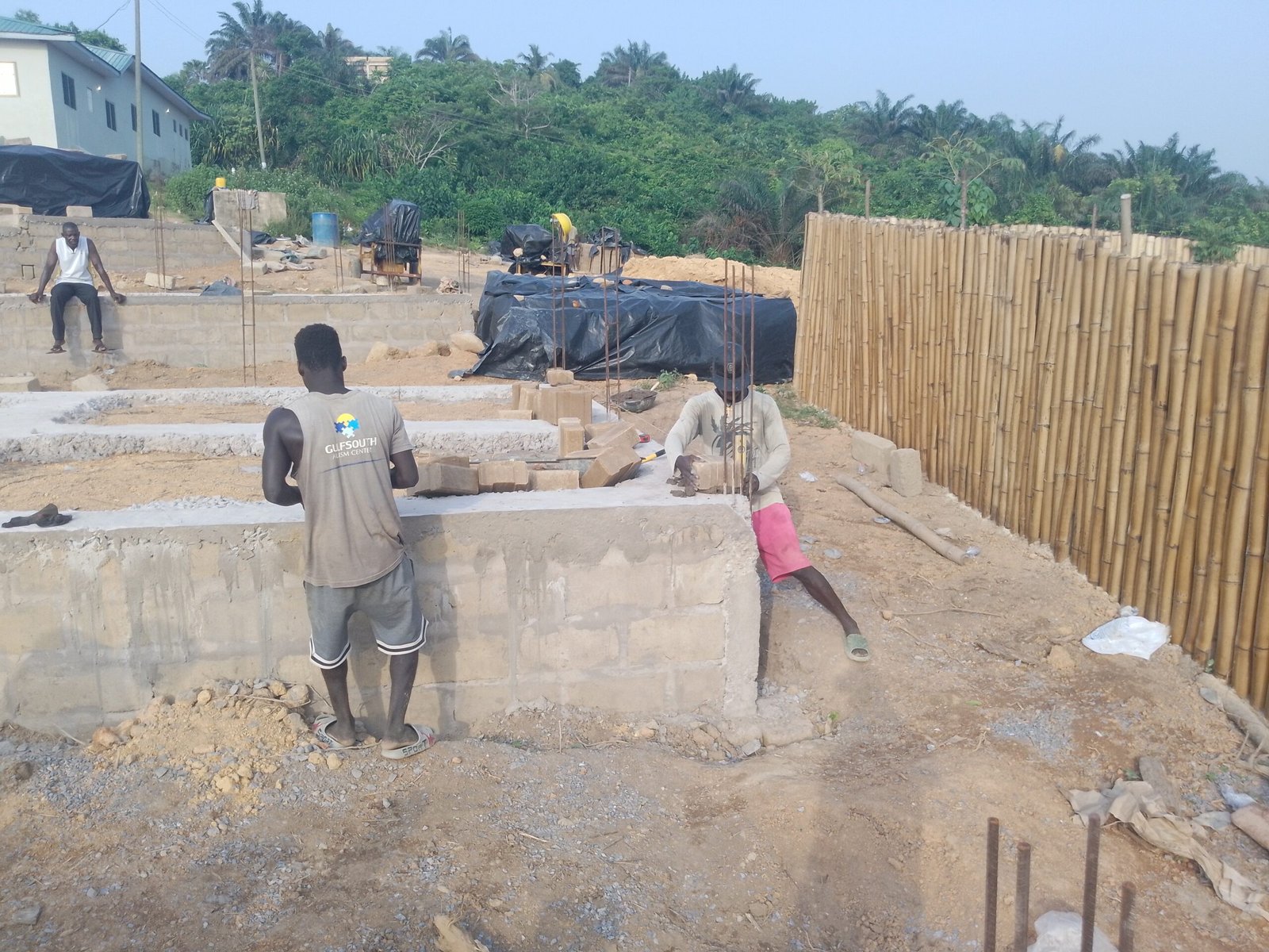 IMG_20241220_162629_157