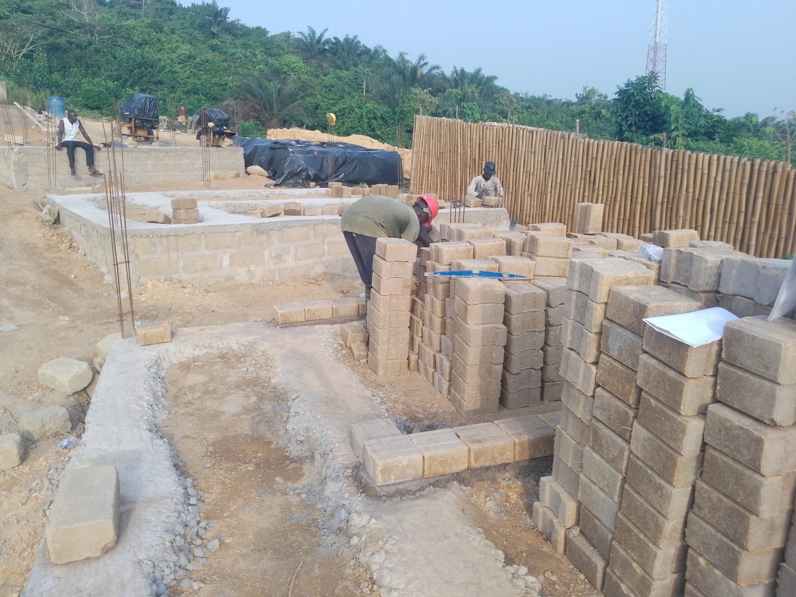 IMG_20241220_163845_653