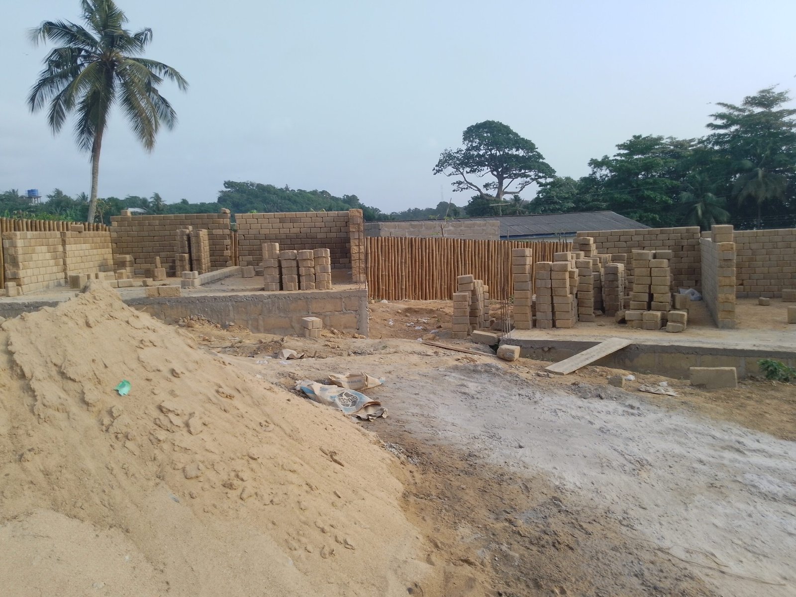 IMG_20241226_163811_659