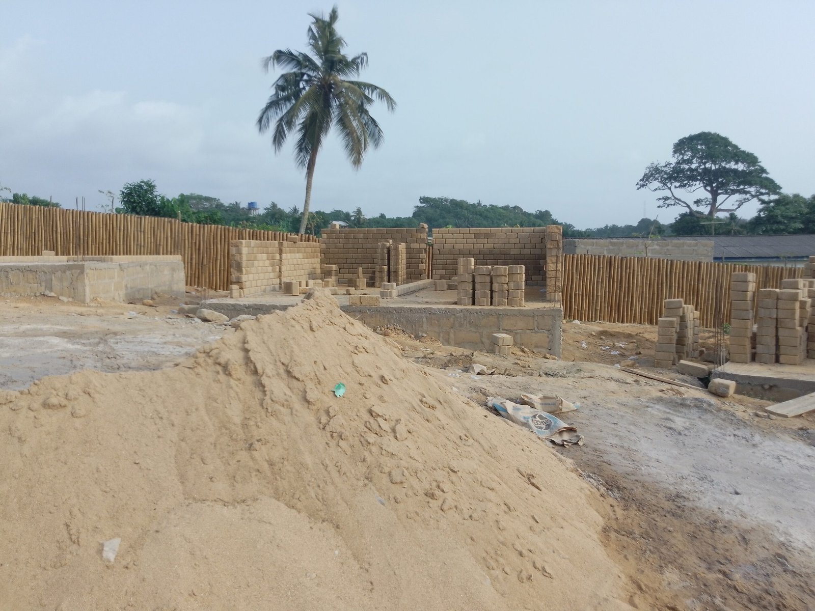 IMG_20241226_163813_163